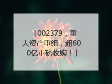 002379，重大资产重组，超600亿重磅收购！