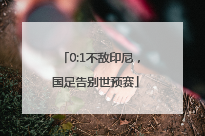 0:1不敌印尼，国足告别世预赛