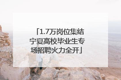 1.7万岗位集结 宁夏高校毕业生专场招聘火力全开