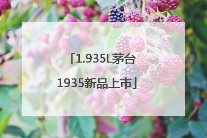 1.935L茅台1935新品上市