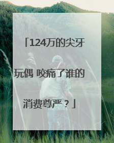 124万的尖牙玩偶 咬痛了谁的消费尊严？