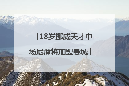 18岁挪威天才中场尼潘将加盟曼城