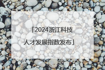 2024浙江科技人才发展指数发布