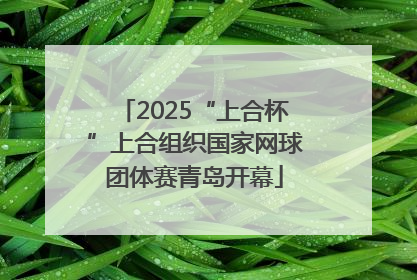 2025“上合杯”上合组织国家网球团体赛青岛开幕