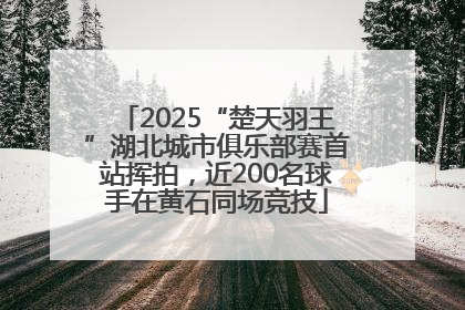 2025“楚天羽王”湖北城市俱乐部赛首站挥拍，近200名球手在黄石同场竞技