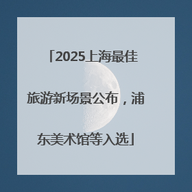 2025上海最佳旅游新场景公布，浦东美术馆等入选
