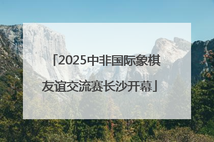 2025中非国际象棋友谊交流赛长沙开幕