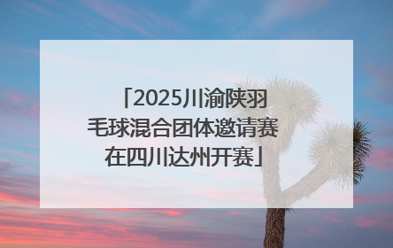 2025川渝陕羽毛球混合团体邀请赛在四川达州开赛