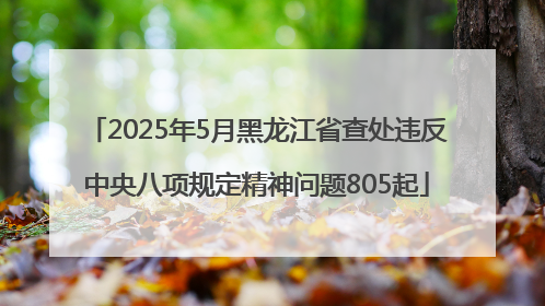2025年5月黑龙江省查处违反中央八项规定精神问题805起