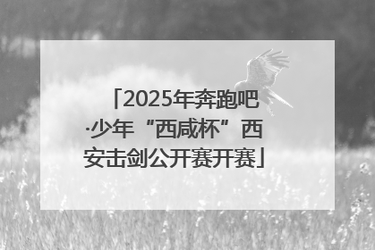 2025年奔跑吧·少年“西咸杯”西安击剑公开赛开赛
