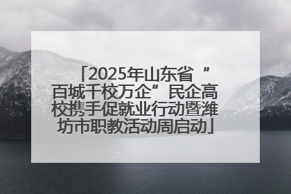 2025年山东省“百城千校万企”民企高校携手促就业行动暨潍坊市职教活动周启动