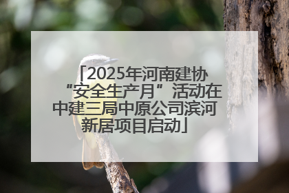 2025年河南建协“安全生产月”活动在中建三局中原公司滨河新居项目启动