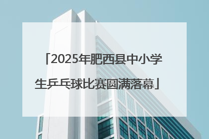2025年肥西县中小学生乒乓球比赛圆满落幕
