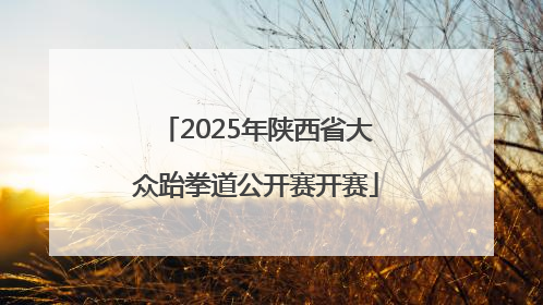 2025年陕西省大众跆拳道公开赛开赛