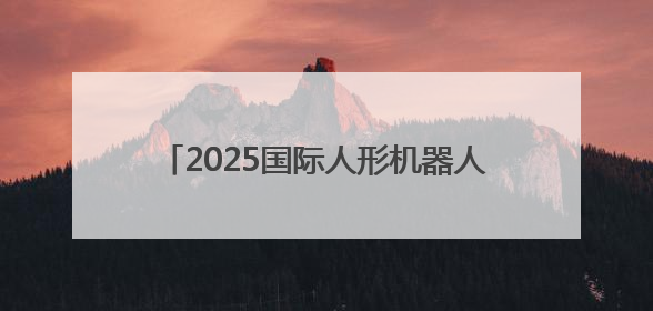 2025国际人形机器人技能大赛在上海张江启动