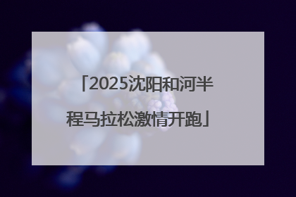 2025沈阳和河半程马拉松激情开跑