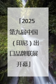 2025第九届中国（印尼）出口品牌联展开幕