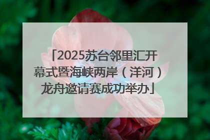 2025苏台邻里汇开幕式暨海峡两岸（洋河）龙舟邀请赛成功举办