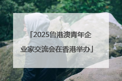 2025鲁港澳青年企业家交流会在香港举办