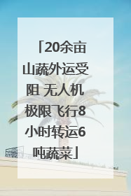 20余亩山蔬外运受阻 无人机极限飞行8小时转运6吨蔬菜