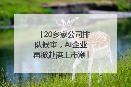 20多家公司排队候审，AI企业再掀赴港上市潮