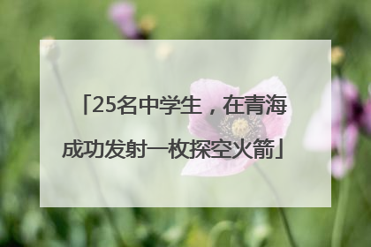 25名中学生，在青海成功发射一枚探空火箭