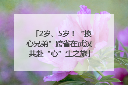 2岁、5岁！“换心兄弟”跨省在武汉共赴“心”生之旅
