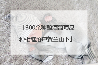 300余种酿酒葡萄品种相继落户贺兰山下