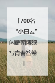 700名“小白云”闪耀南博续写青春答卷