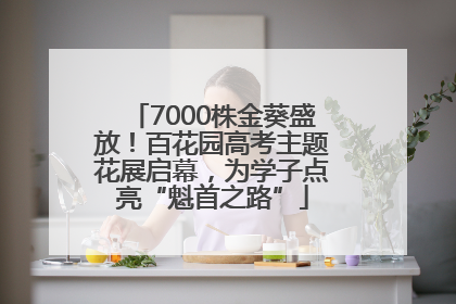 7000株金葵盛放！百花园高考主题花展启幕，为学子点亮“魁首之路”