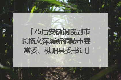 75后安徽铜陵副市长杨文萍履新铜陵市委常委、枞阳县委书记