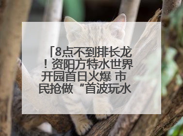 8点不到排长龙！资阳方特水世界开园首日火爆 市民抢做“首波玩水达人”