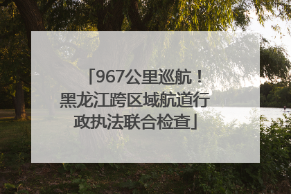 967公里巡航！黑龙江跨区域航道行政执法联合检查