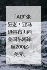 AI扩张狂潮！亚马逊宣布再向美国东海岸砸200亿美元
