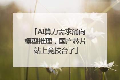 AI算力需求涌向模型推理，国产芯片站上竞技台了