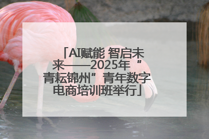AI赋能 智启未来——2025年“青耘锦州”青年数字电商培训班举行