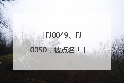 FJ0049、FJ0050，被点名！