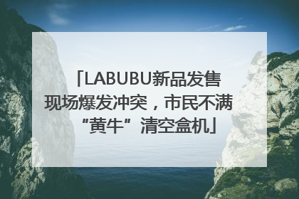 LABUBU新品发售现场爆发冲突，市民不满“黄牛”清空盒机