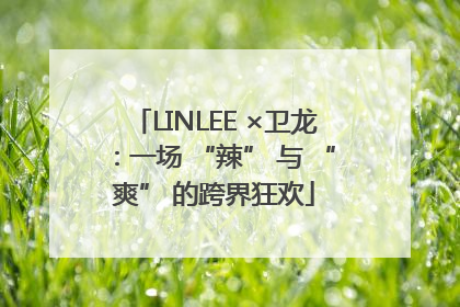 LINLEE ×卫龙：一场 “辣” 与 “爽” 的跨界狂欢