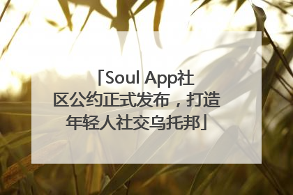 Soul App社区公约正式发布，打造年轻人社交乌托邦