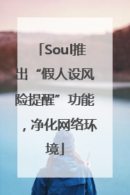 Soul推出“假人设风险提醒”功能，净化网络环境