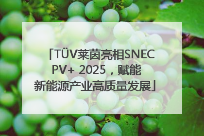 TÜV莱茵亮相SNEC PV+ 2025，赋能新能源产业高质量发展